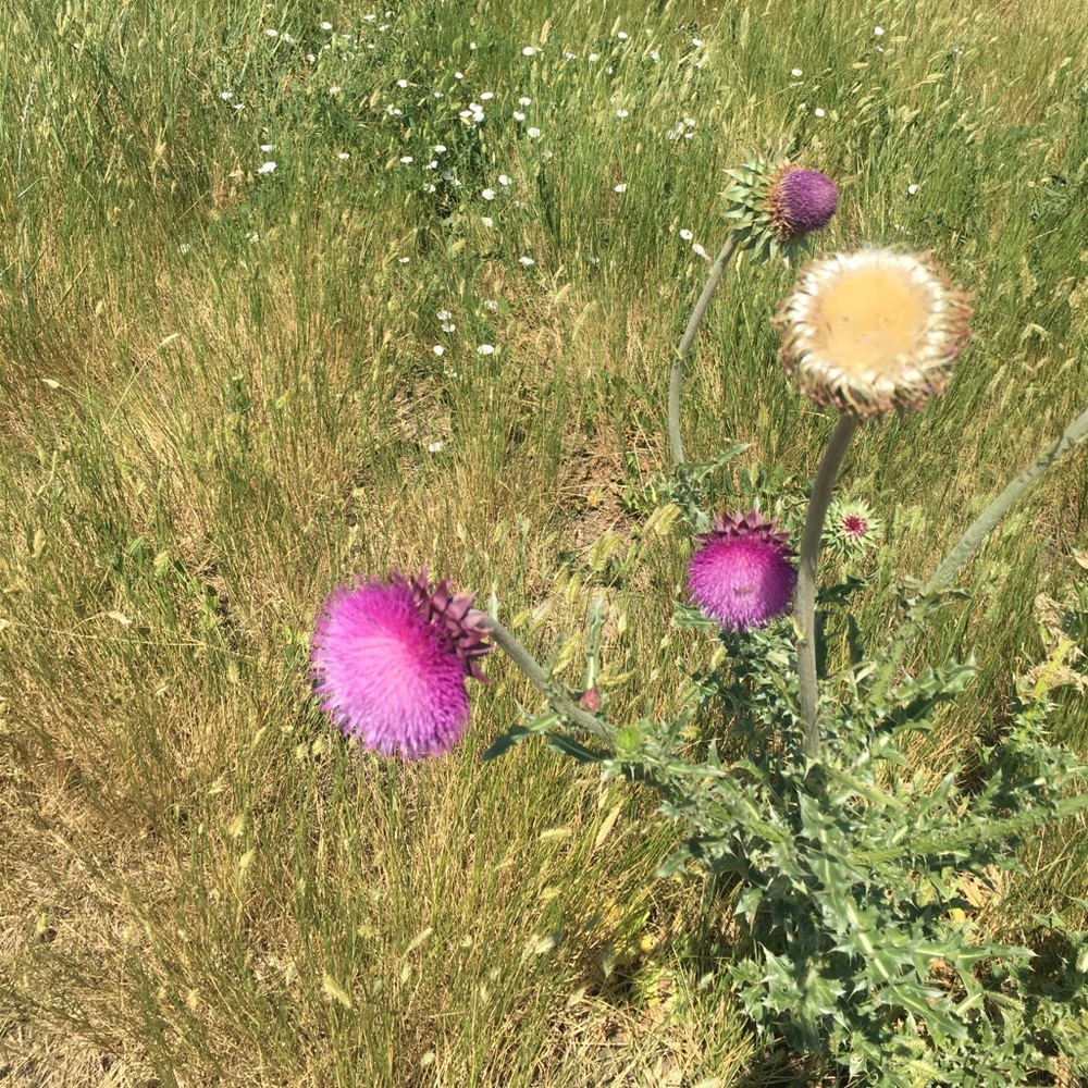 Meet your Posher, Caitlin